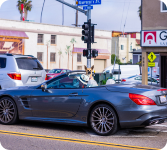 Getting Around by Car